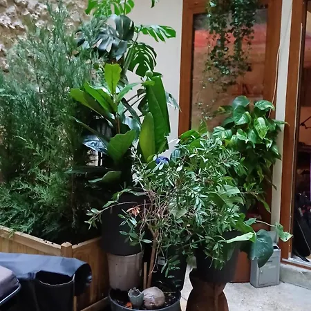 Boheme Dans Le 5e * Paris